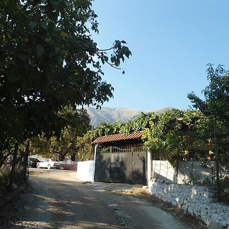 Eva Apartments Dhermi Luaran gambar